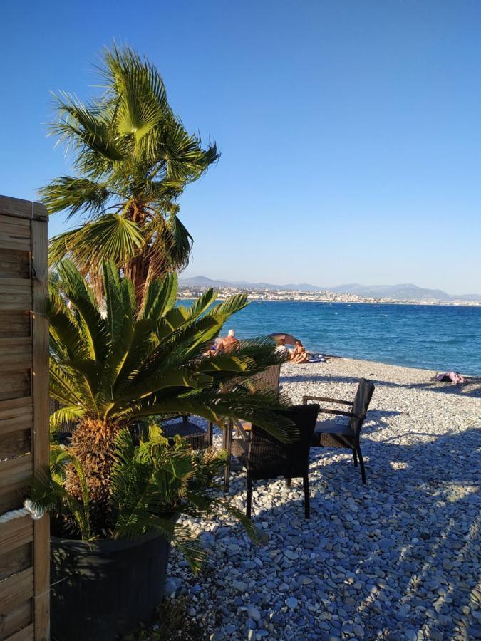 Studio Rez De Jardin Marina Baie Des Anges Villeneuve-Loubet Eksteriør bilde